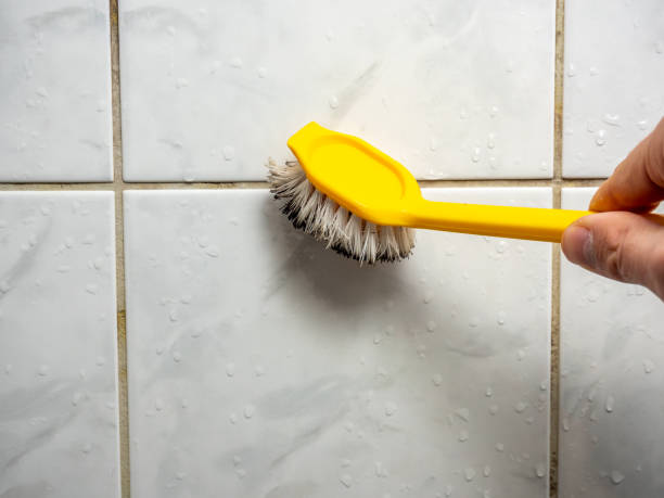 Islip Terrace, NY Mold Removal Company